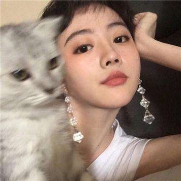 摇摇江湖官方版下载
